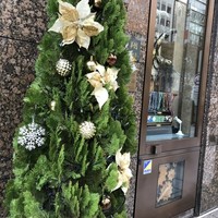 寿こう - 銀座のクリスマスの飾り付け