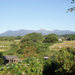 オリーブ - ドッグランから那須の山々が