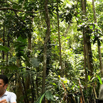 Luckgrove Spice Garden & Resturant - 