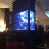 DEN AQUAROOM AOYAMA