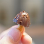 レミニセンス - 45