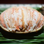 豪龍久保 - 背子蟹