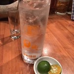 森の賢者 - 請福ハイボール