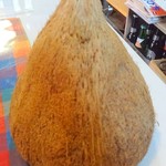 シナモンガーデン - ココナッツの殻