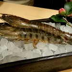 天麩羅 おばた - 