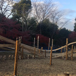 お茶処 なごみ - 