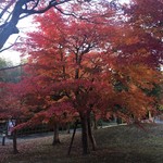 お茶処 なごみ - 