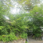 シュマンドール - 