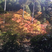 高雄観光ホテル - 