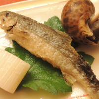 割烹 やました - もろこ
