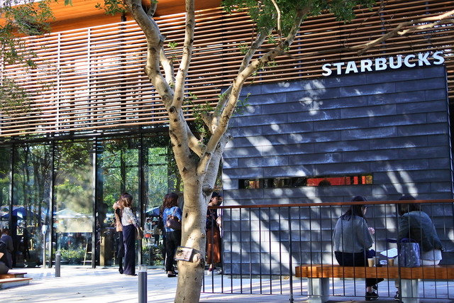 緑に囲まれたお洒落なスタバ By 大きなやまちゃん スターバックスコーヒー 浜松城公園店 遠州病院 カフェ 食べログ