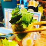 タイ食堂RAK - 