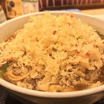 味奈登庵 - ねぎも揚げ玉もブチまけろ！  #BCMKR!