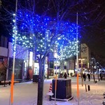 和三條 かた岡 - お店の近く「旭川買物公園」のイルミネーション