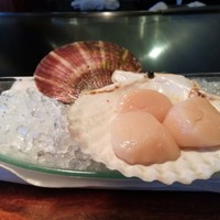 あざみ野うかい亭 - 