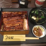 Unagi Unasakura - 