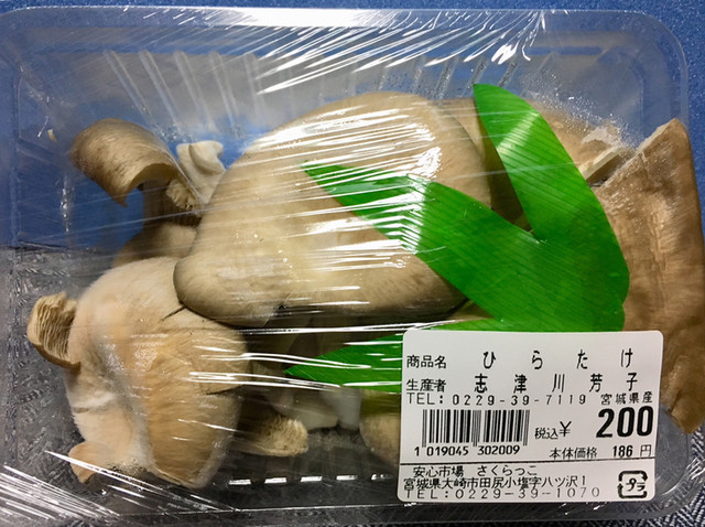 さくらっこ - 田尻（その他）の写真