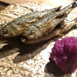 御料理 光安 - 貴重な本モロコ。お酒に合いすぎる。