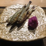 御料理 光安 - 本モロコとは有難い。なかなか食べられません。