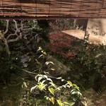 御料理 光安 - 奥の箱庭。綺麗に手入れされて美しい。