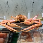 寿司栄 - 松葉蟹