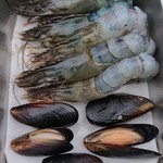 まつが - 魚介類