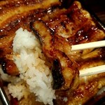 うなぎ 魚政 - 無加温うなぎ　うな重　特上