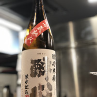 鯖とか烏賊とか真とか - 