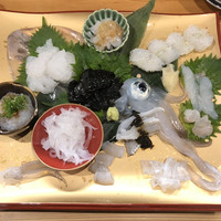 鯖とか烏賊とか真とか - 