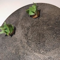 カセント - 