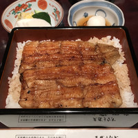 五代目 野田岩 麻布飯倉本店 - 