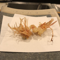 天ぷら 小宮山 - 