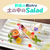 土の中のＳalad