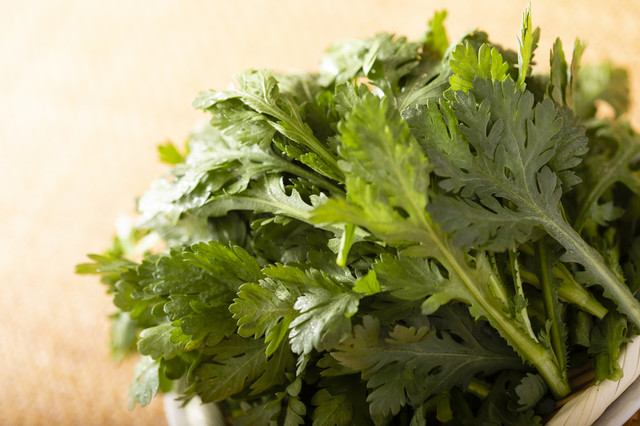 料理メニュー 赤坂ジンギスカン ひつじ8番 赤坂 ジンギスカン 食べログ