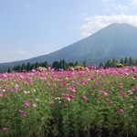 中華料理正一 - 