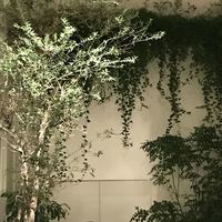 ENEKO Tokyo - 