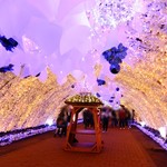 グラン・テーブル - 