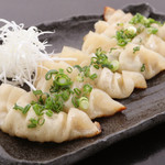Torian fried Gyoza / Dumpling