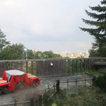 鬼はそと福はうち - 席から札幌が見渡せる　【　２０１１年１０月　】46