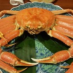 旬庵きくら - 料理写真: