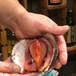 刺身BAR 河岸頭 - 