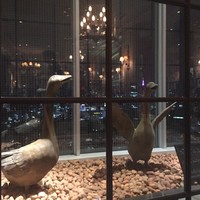 Benoit Alain Ducasse - 
