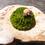 ラ・ヴァガボンド - 