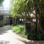 ‘Ama ‘Ama - アウラニ・ディズニー・リゾート&スパコオリナ・ハワイの一階にあるオーシャンビューのレストランです。
            