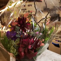 神楽坂アッカ - 