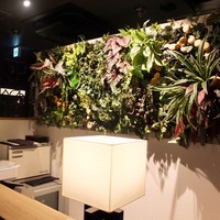 シャングリラズシークレット 銀座店 - 受付はこんな感じ