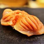 あま木 - 赤貝（山口県）