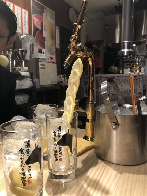 レモンサワー500円飲み放題 焼肉ホルモン酒場1129 浜松有楽街店 第一通り 焼肉 ネット予約可 食べログ