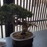 くりゑンテ カワバタ - 