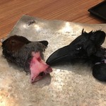 柚木元 - コガモとハシブトガラス